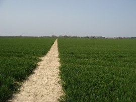 Path from Long Length